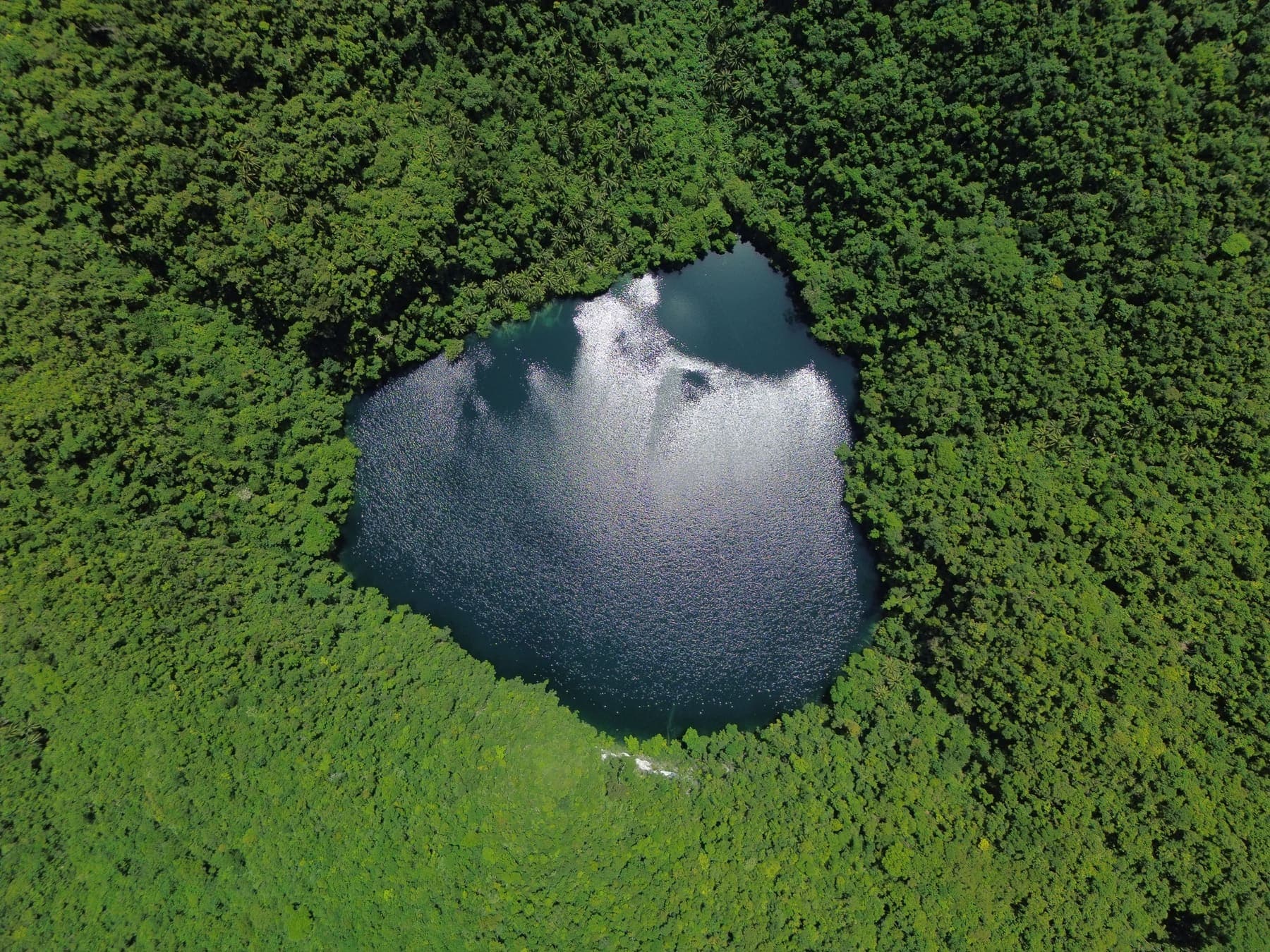 Bababu Lake from directly overhead, a dark freshwater lake entirely ringed by dense forest
