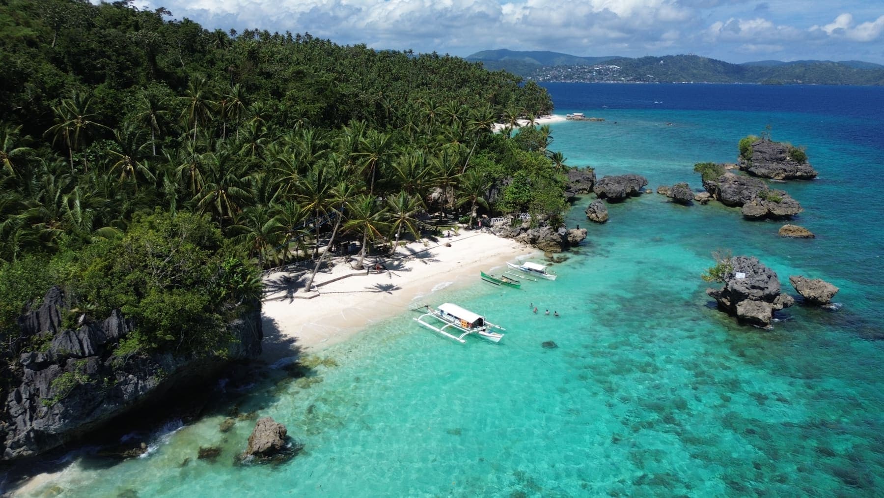 Pagkawasan Garden Beach seen from above, a palm-lined white beach with rock formations along the shallows